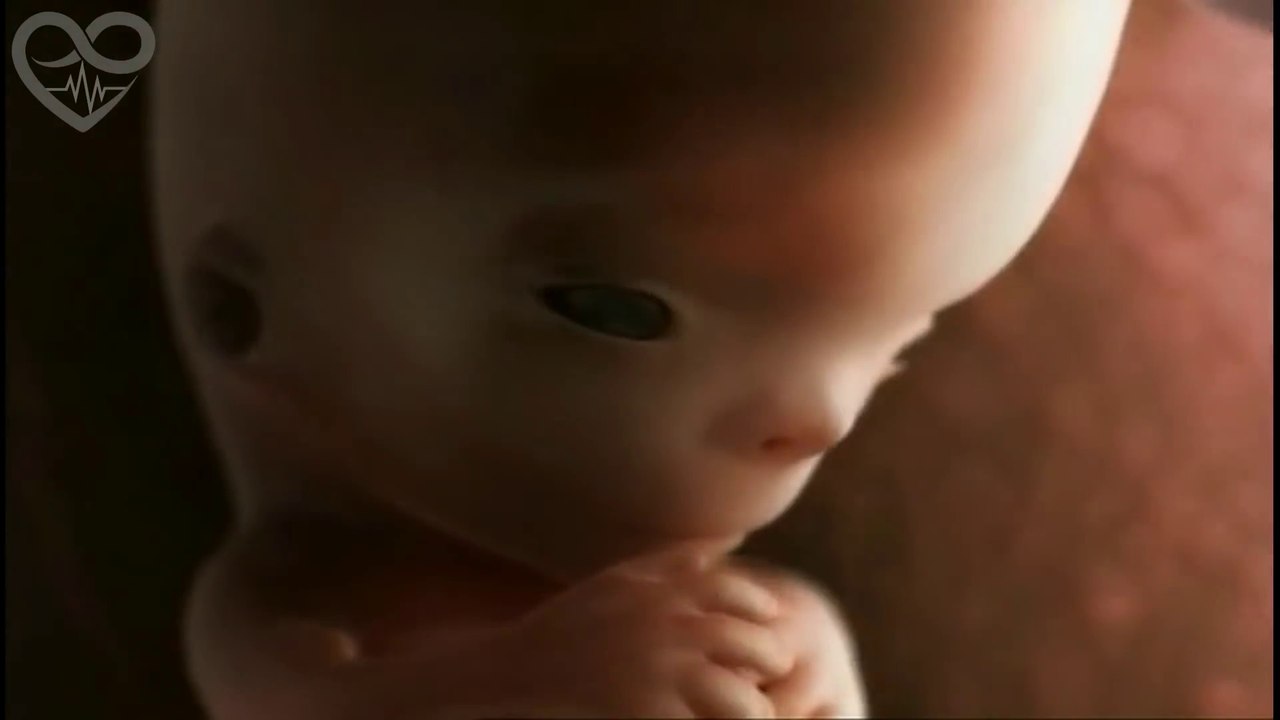 La vie d'un fœtus dans le ventre de sa mère : 9 mois en 4 minutes
