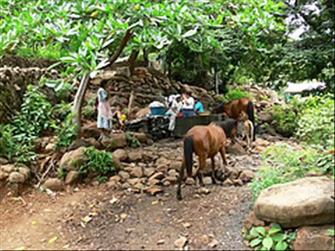 PATRIA QUERIDA (ALVARO TORRES)