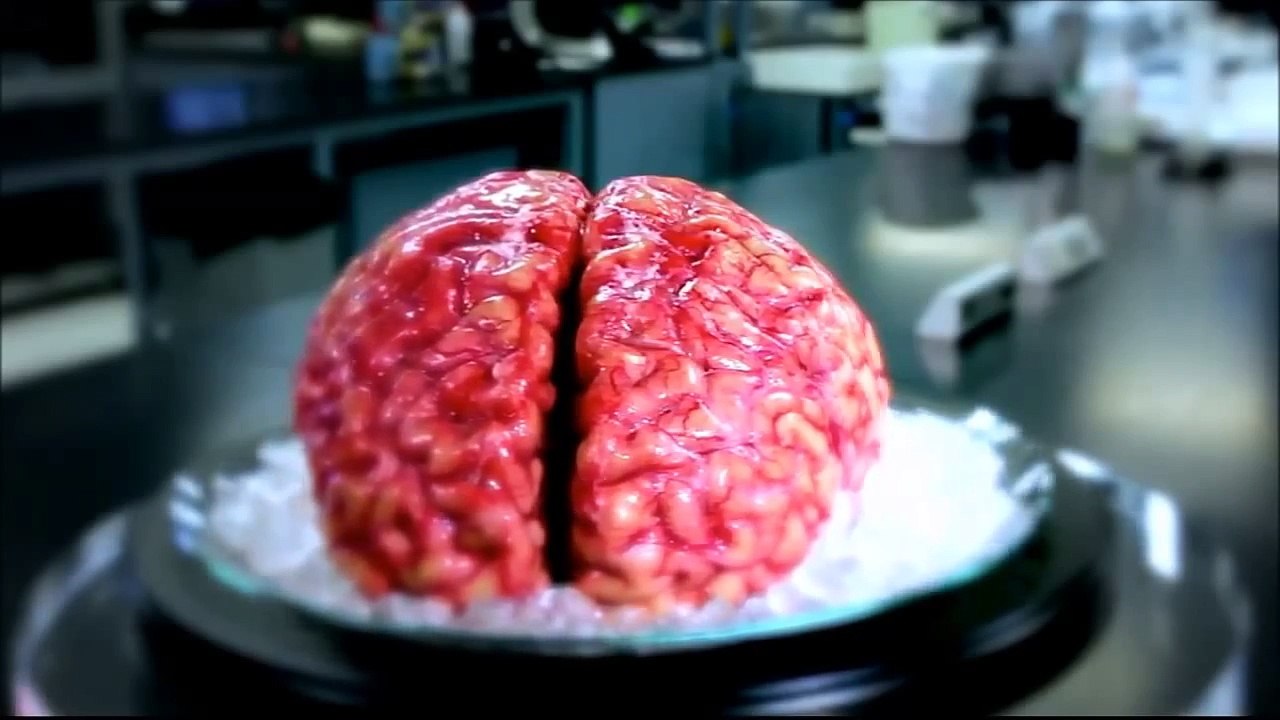 Brain Activity Map explained by Science Director at the 2045 Foundation