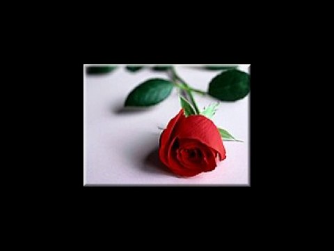 l'hymne à la joie de beethoven