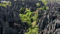Cute Lemurs Cross Razor-Sharp Cliffs - Madagascar, Preview - BBC Two