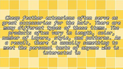 Gorgeous Cheap Feather Extensions Wonderful Accessory To Give As Gifts To Self Or Others