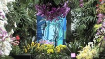 The New York Botanical Garden Presents, The Orchid Show: Brazilian Modern