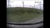 Police Dashcam Captures Wild Boar Chase Through the Streets of Riga