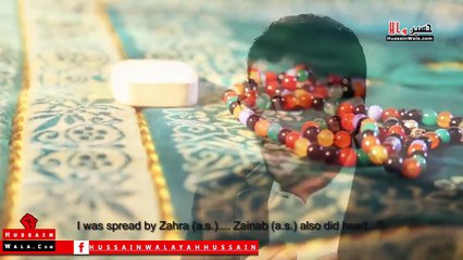 Mir Hasan Mir | Haider (as) Ka Mussalla | New Manqabat 2015-16