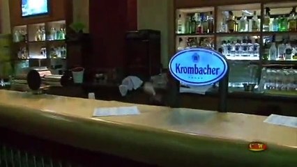 CZW Live In Germany Highlights