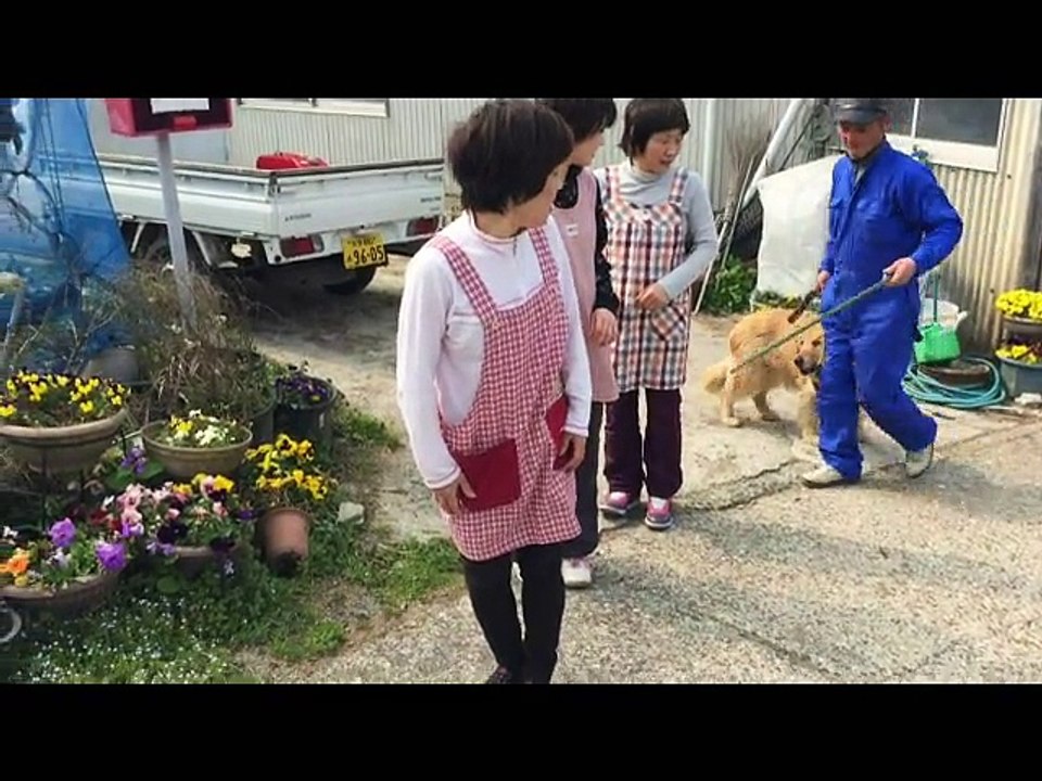 しーちゃん結婚式【メーキング　エンドロール】