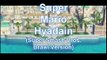 Super Mario Hyadain (Super Smash Bros. Brawl Version)