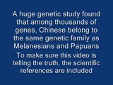 Chinese and Melanesians are closest blood relatives