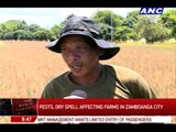 How El Nino affects farms in Zamboanga