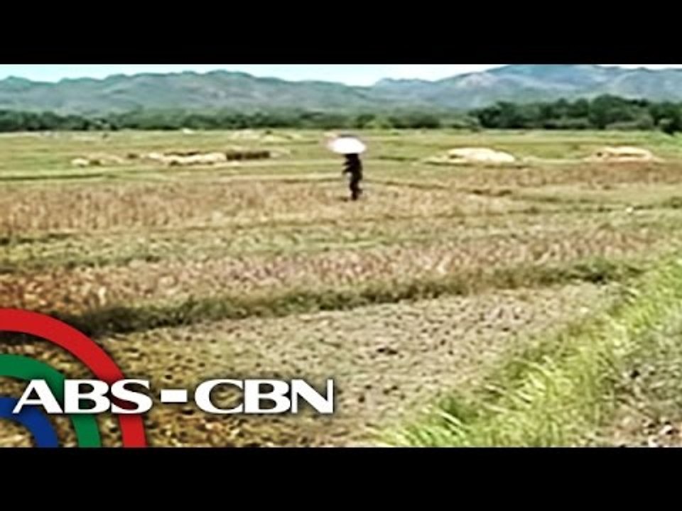 Drought destroys crops in Ilocos Norte; Iligan City experiences water shortage