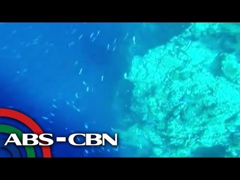 Tubbataha Reef, itinuturing na diver's paradise