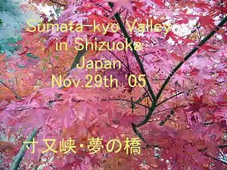 Ｓｕｍａｔａ－ｋｙｏ　Ｖａｌｌｅｙ　Ｈｏｔ　Ｓｐｒｉｎｇ　Ｓｐａ