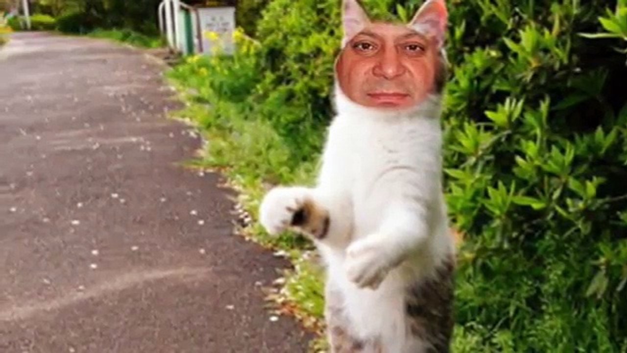 Nawaz Sharif Hate Video Funny?syndication=228326
