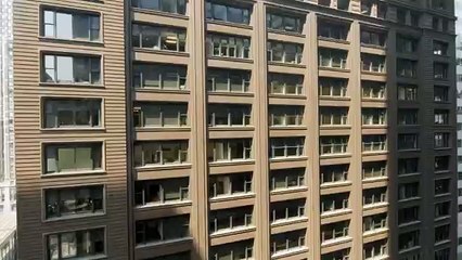 Understanding the Chicago School of Architecture