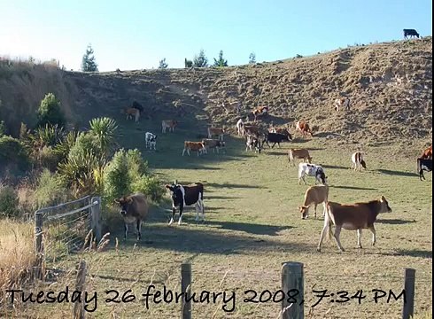 Light Orb transparent (OVNI, UFO), the only picture in the world (since 2008)? (torus,prana)