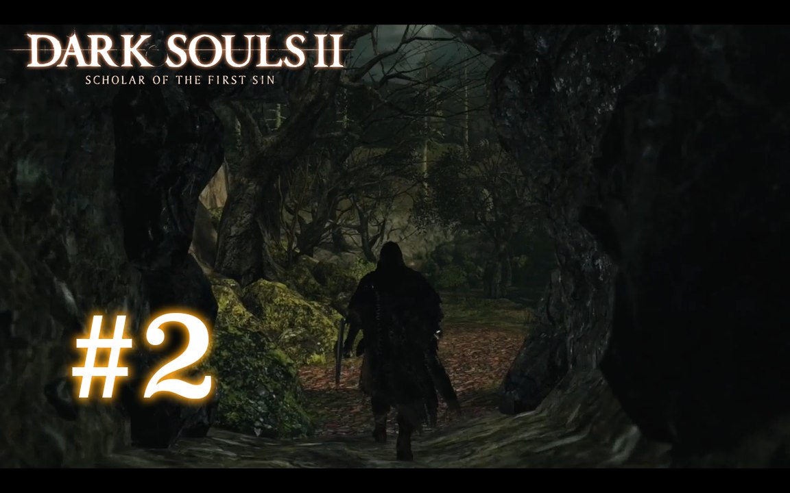 Dark Souls II [2] - "La forêt des géants"