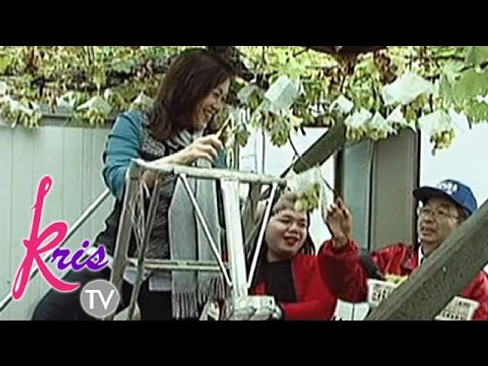 Ballsy, Pinky and Kris go grape-picking