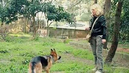 AKP NİN İŞSİZ BIRAKTIĞI GAZETECİLERİN BELGESELİ