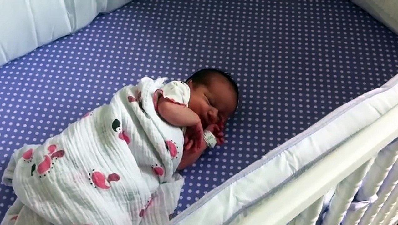 Boxer Responds To Newborns First Cries