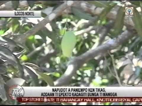 TV Patrol Ilocos - May 4, 2015