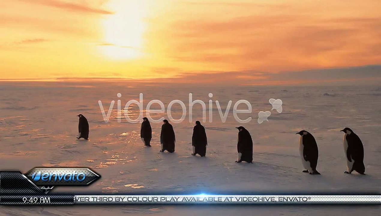 After Effects Project Files - Corporate Lower Third - VideoHive 2163042