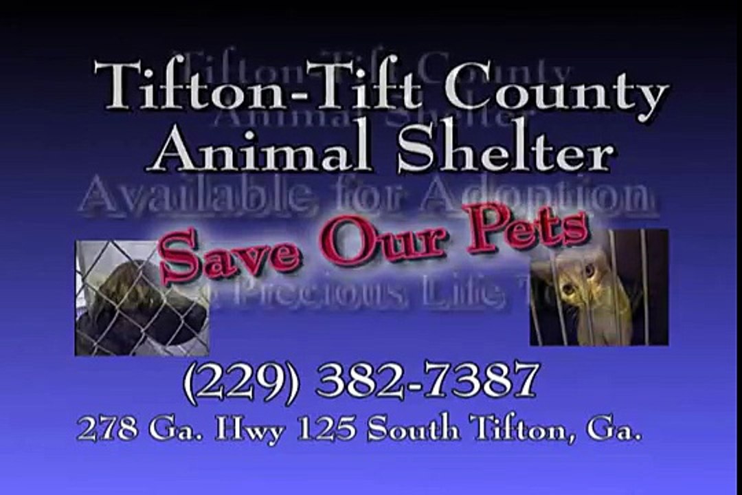 Animal Adoption