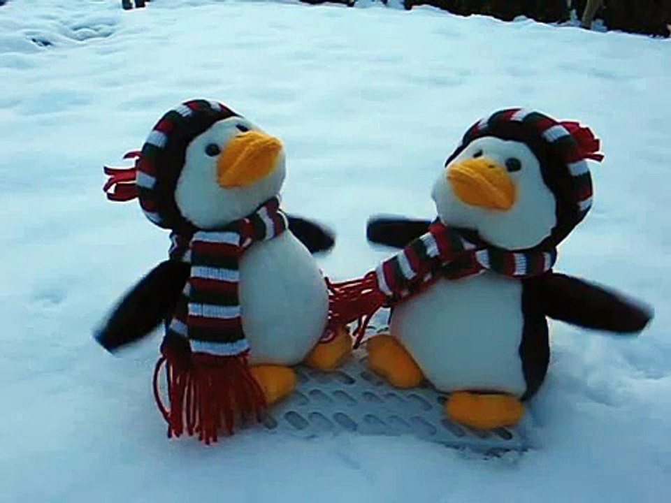 Pinguins