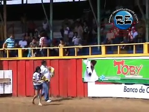 Exhibición de perros finos (de raza) en Expo PZ 2010, Pérez Zeledón, Costa Rica
