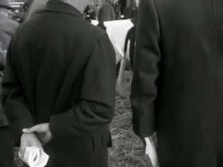 Friesland´s stamboekvee (1957)