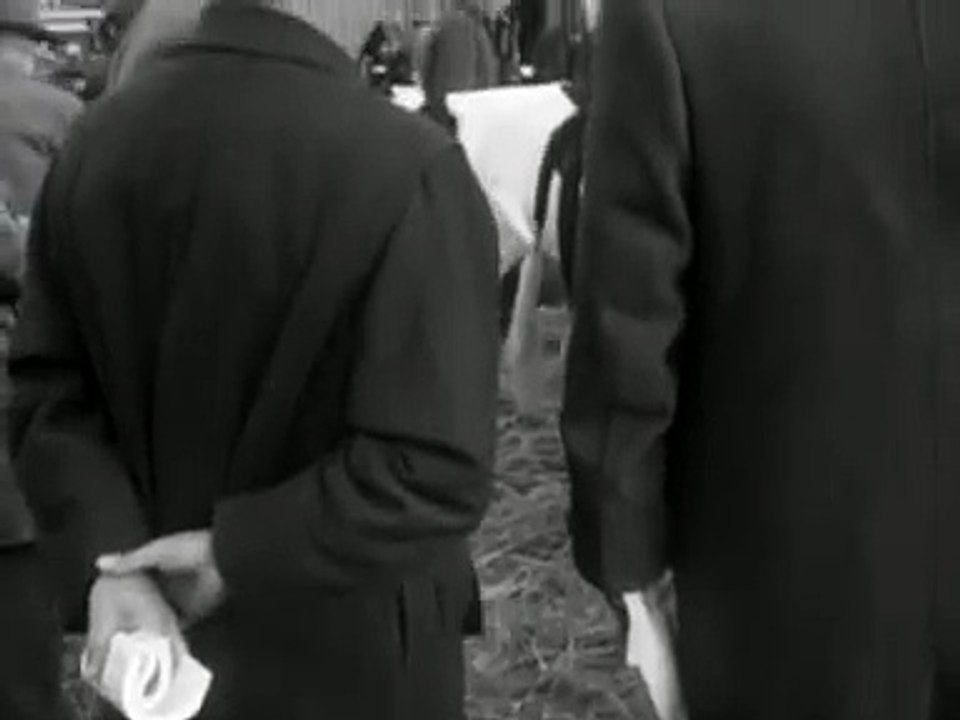 Friesland´s stamboekvee (1957)