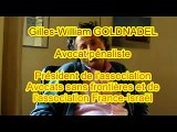 Avis de Gilles-William Goldnadel sur Alain Finkielkraut