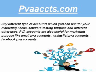 Pvaaccts.Com - Buy Twitter Accounts