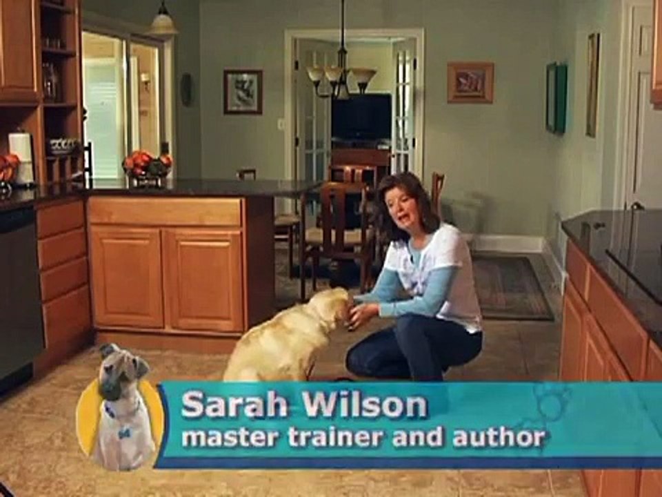 Comcast Select On Demand: Sarah Teaches Rollover