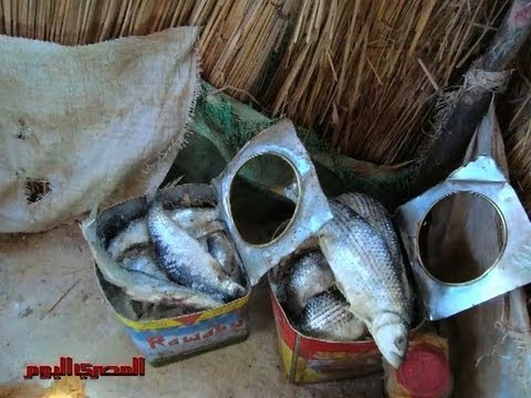 «الفسيخ» و«شم النسيم»