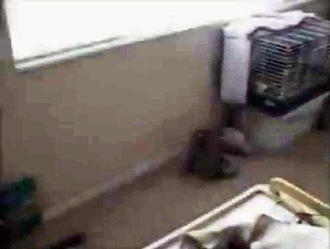 ANKARA KAYAŞ KOMBİ SERVİSİ = 0312= 279 15 16 === RAKS