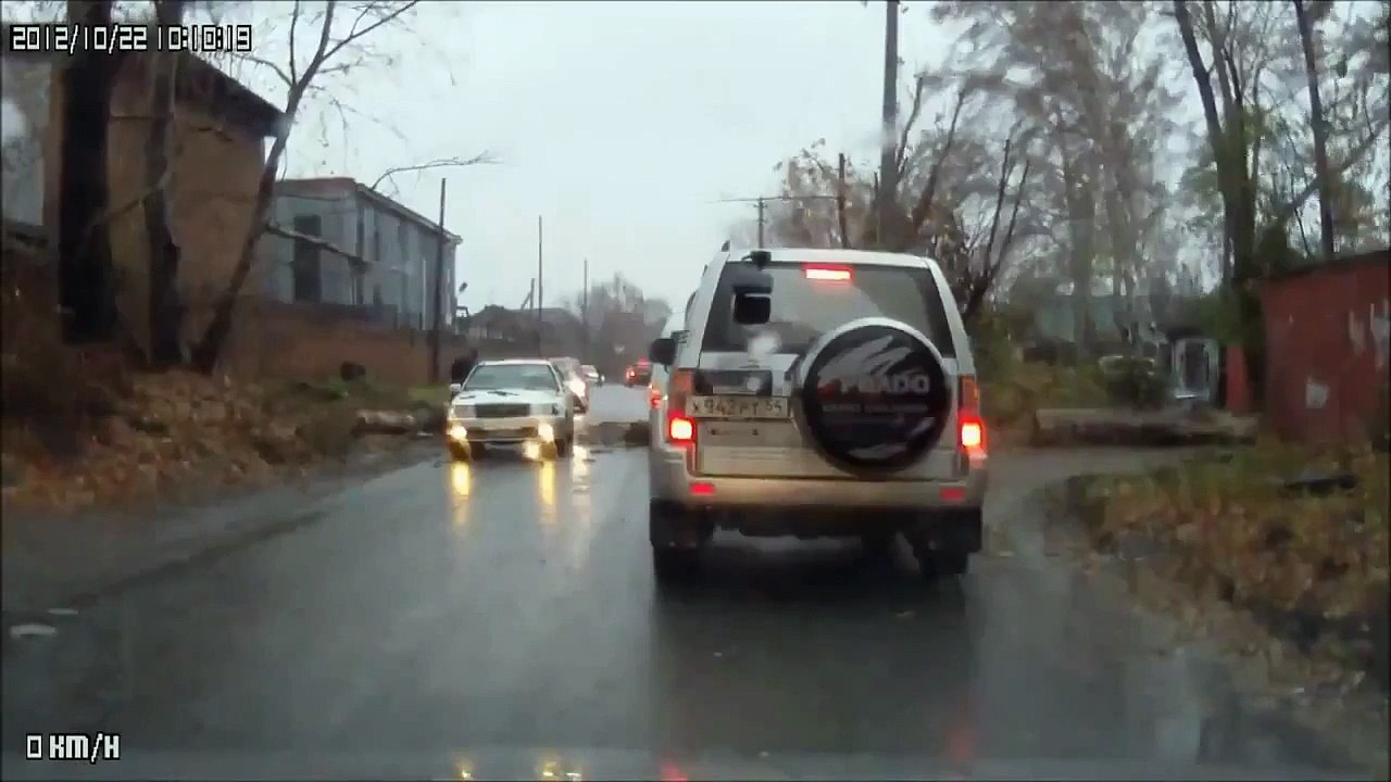 Laughs For Gags A Tree Fell on the Car driving