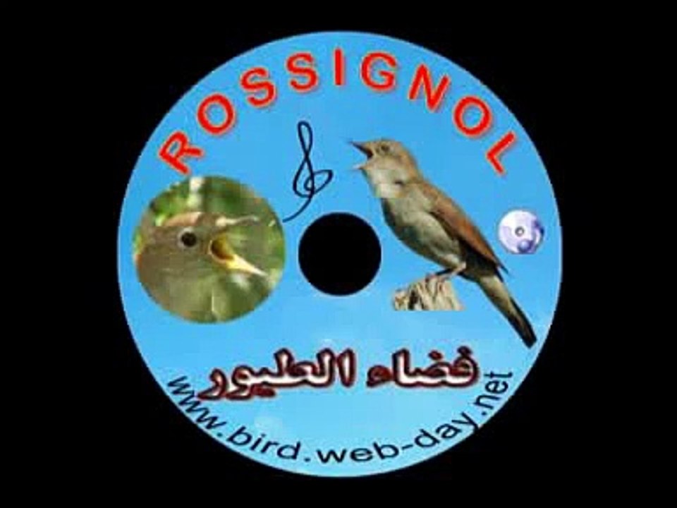 CD CHANT DE ROSSIGNOL  (1)