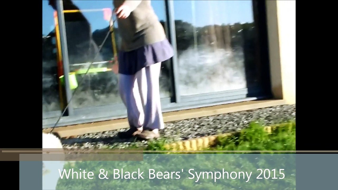 white & black bears' symphony chiots 2015