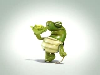 Dancing Turtle