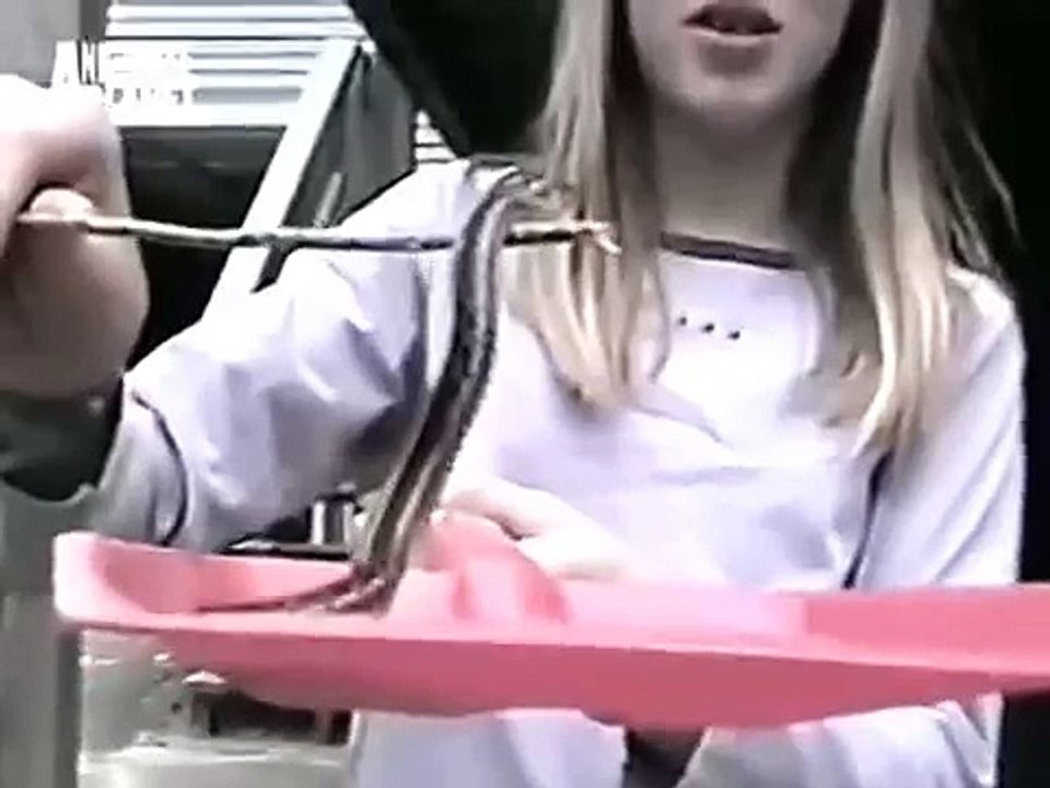 The Planet's Funniest Animals - Every Little Girl Afraid of Sneakes [HUNGARIAN DUB] HD