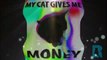 funny cat gives money