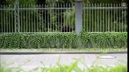 Asi de caprichoso es tu hijo, jajaja