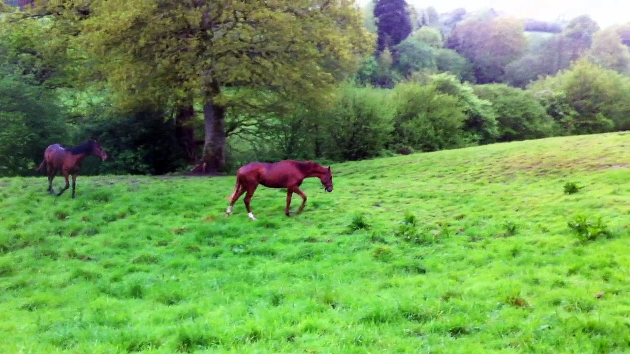 Irwin Forge 5 mai 2015