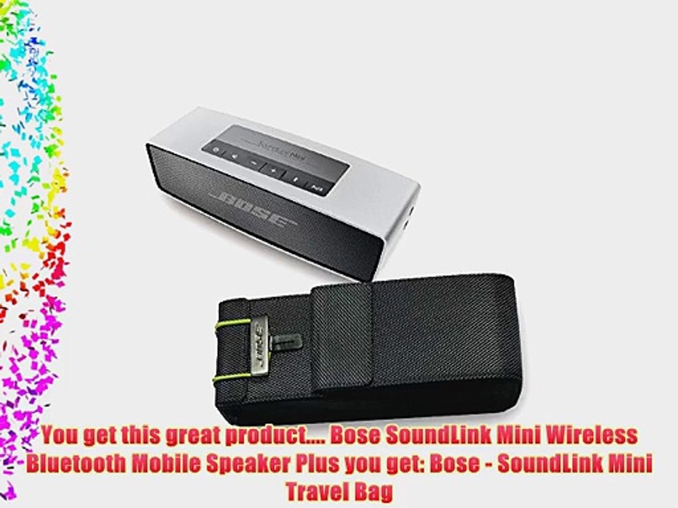 soundlink mini travel bag