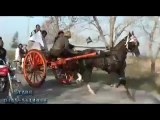 JIGER VS PAWAN HORSE RACE(ZAHID RAFIQ TANGA MAKER RAWALPINDI)PART 1