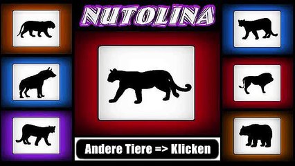 Tiergeräusche: Puma geräusche - Puma brüllt