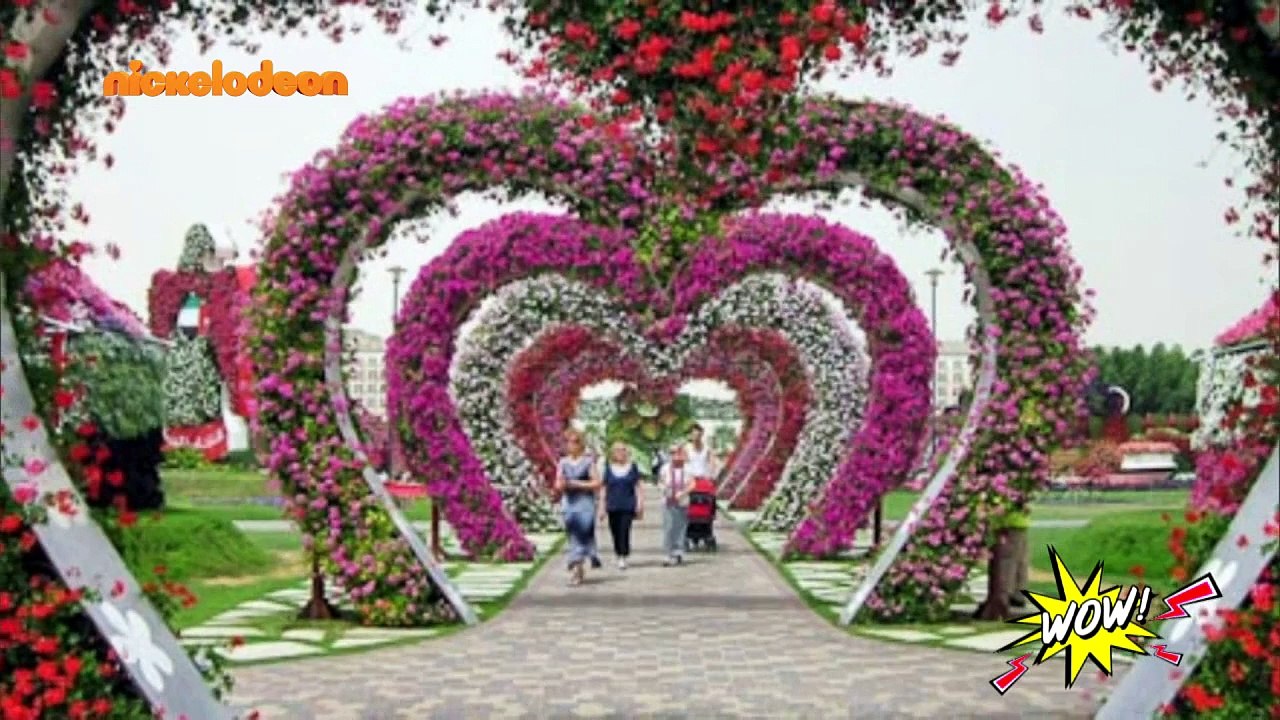 WOW! - S02: Επεισόδιο #85