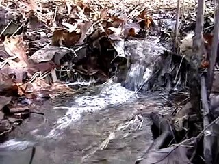 New Poncho Tarp Tent