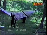 Funny bears in a hammock.